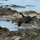 Illustration for article titled Santa Barbara Still Reeling From the Worst Oil Spill in Decades